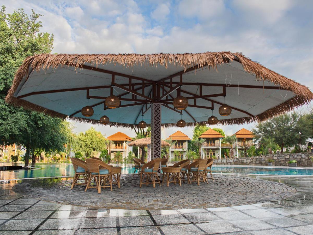 Wild Rose Resort And Spa 푸쉬카르 외부 사진